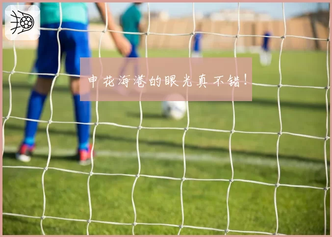 申花海港的眼光真不错！