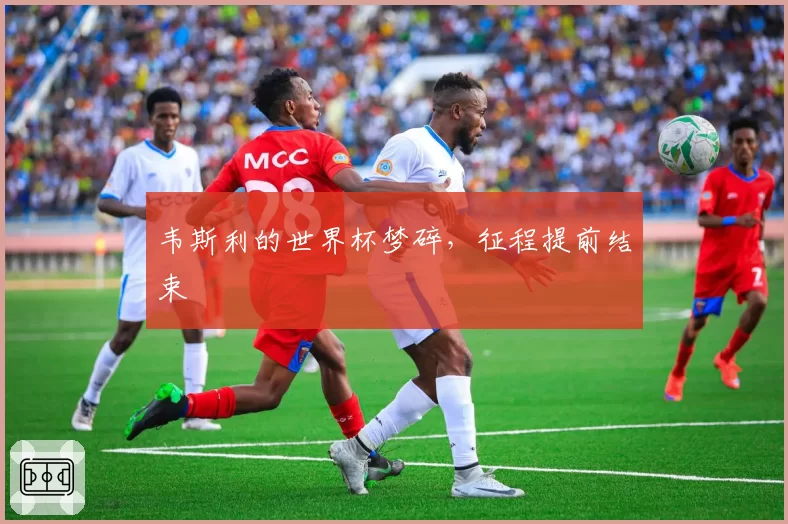 韦斯利的世界杯梦碎,征程提前结束