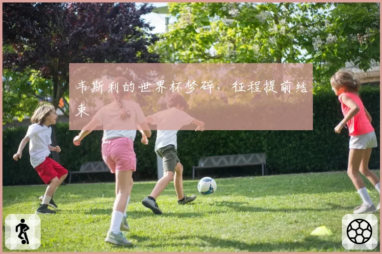 韦斯利的世界杯梦碎,征程提前结束